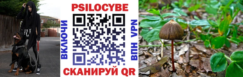 Псилоцибиновые грибы Psilocybine cubensis  OMG ссылка  Кимовск  купить закладку 